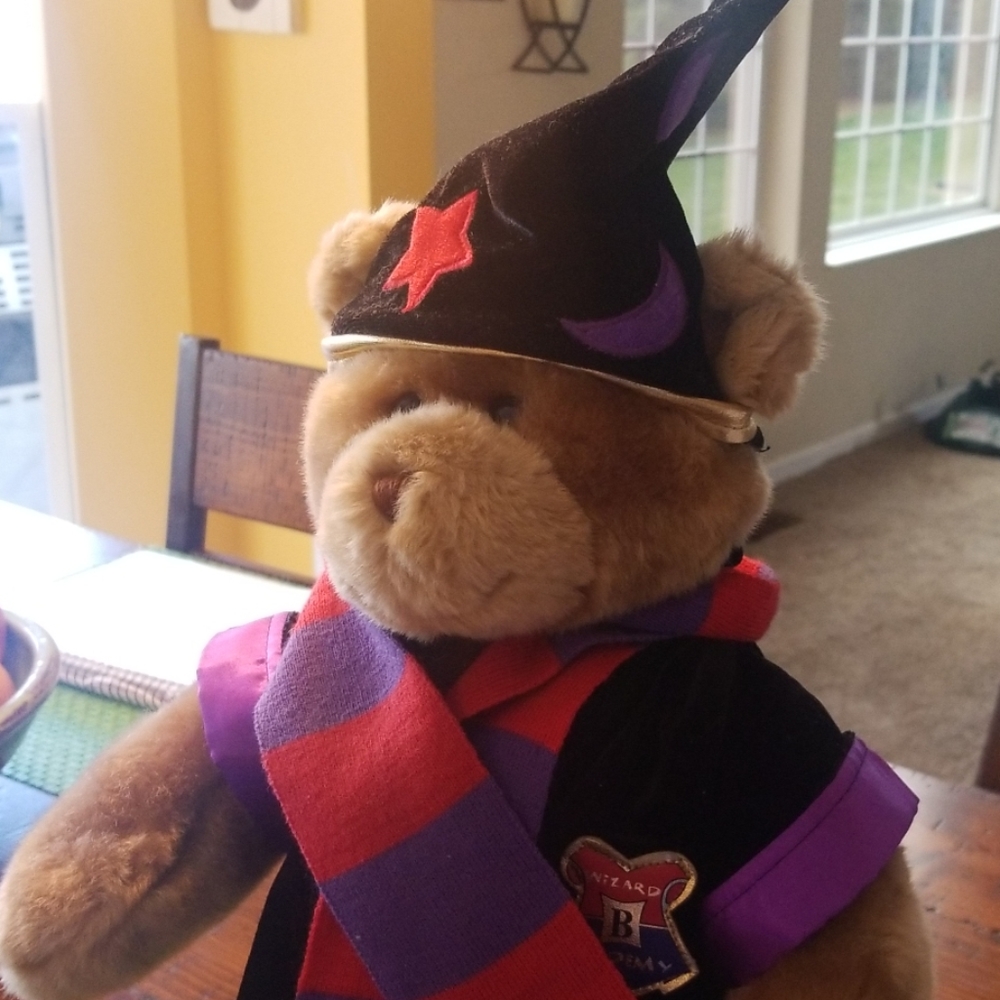 Build-A-Bear Wizard Academy Bear